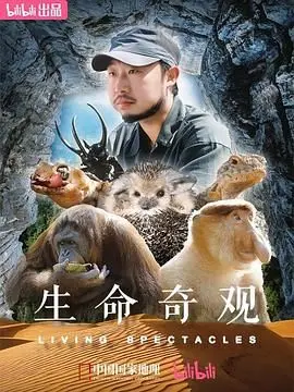 《生命奇观》：震撼心灵的视觉盛宴！带你探索生命的奥秘，感受大自然的鬼斧神工！