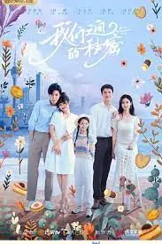 《我们之间的秘密》：隐藏的过往，无法承受的真相，一场关于爱与救赎的秘密之旅！