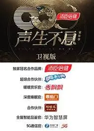 《声生不息·家年华》卫视版：经典旋律唤醒回忆，时代金曲唱响家国情怀！