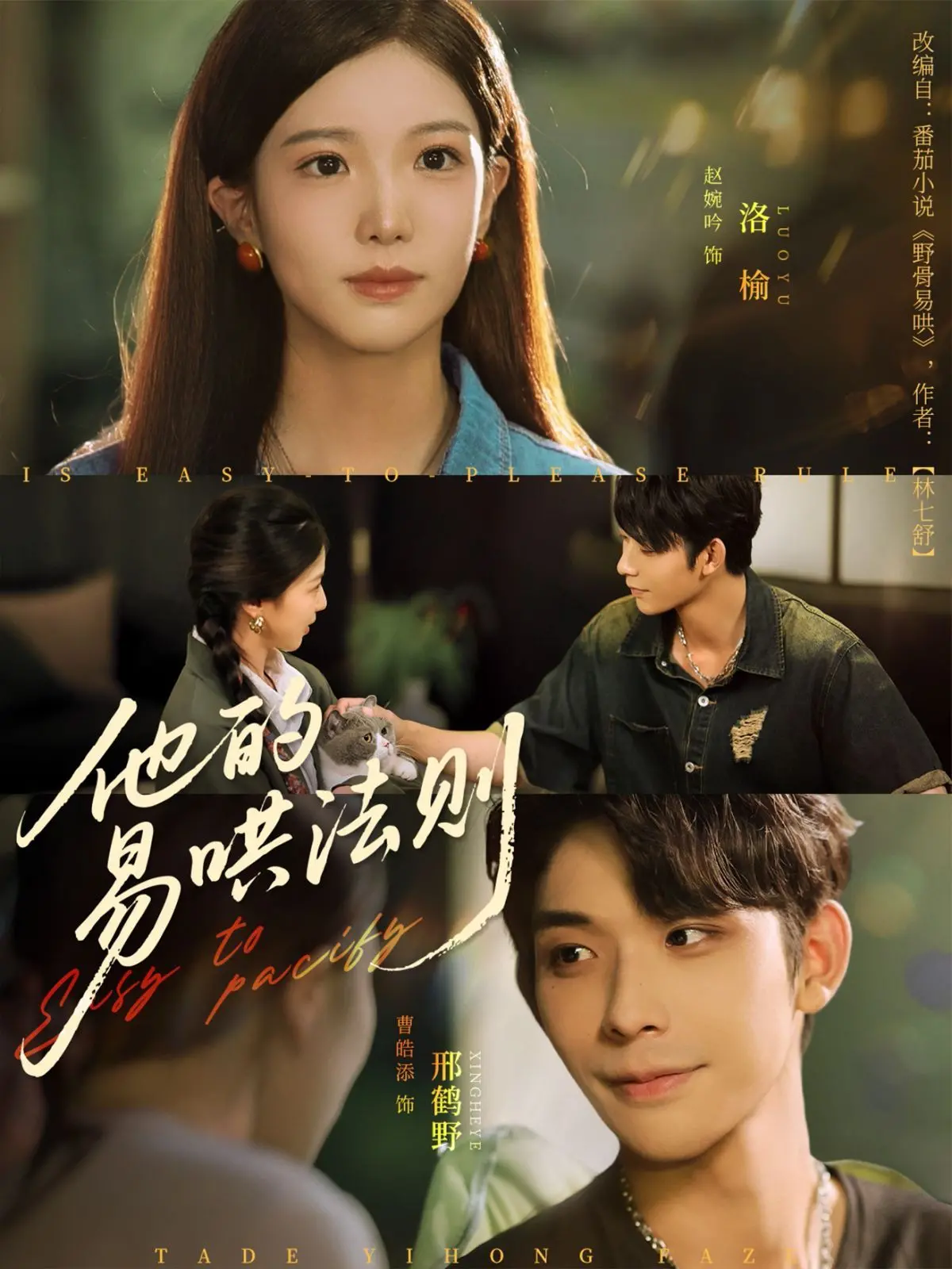 《他的易哄法则》：霸道总裁的温柔攻略，谁能拒绝这份专属宠爱？