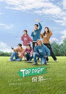 《TOP DOG》：当硬汉遇上萌犬，一场跨越生命的《悬疑》冒险，温情与刺激并存！