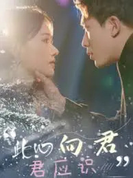 《此心向君君应识》：霸道王爷与俏皮女子的古装爱恋，命运纠缠下的甜蜜与泪水